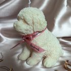 Cute puppy - szójaviasz gyertya