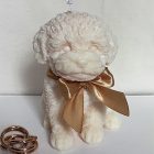 Cute puppy - szójaviasz gyertya